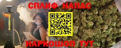 стаф Бузулук