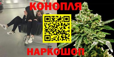 стаф Бузулук