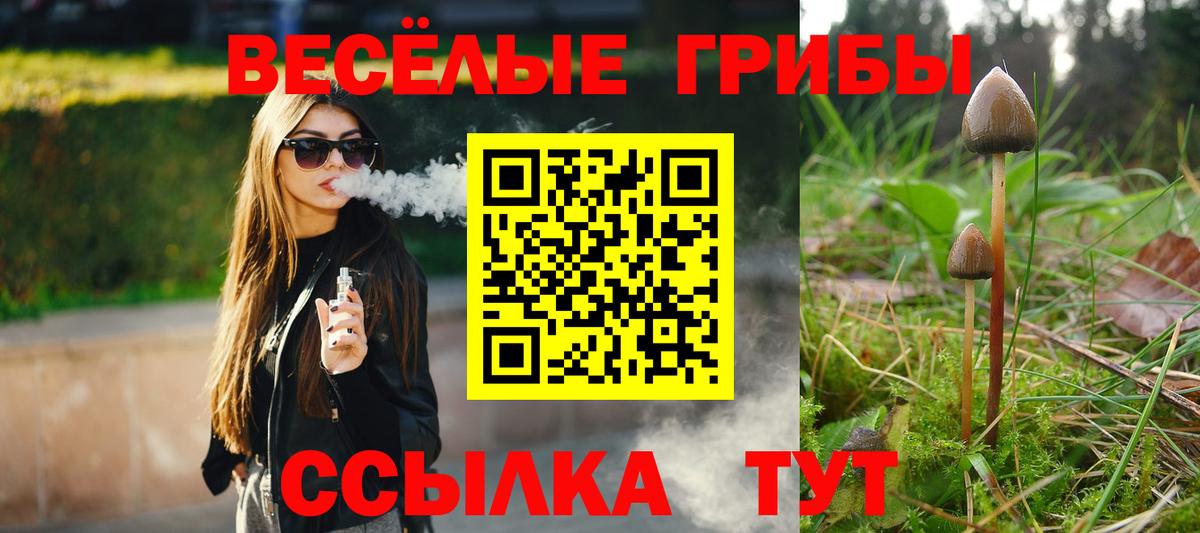 Соликамск  Галлюциногенные грибы мухоморы  Вход с VPN 
